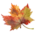 Programme Octobre Novembre Décembre